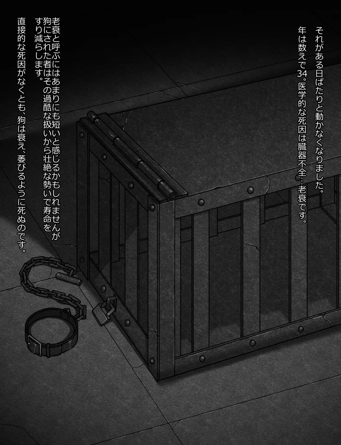 メイドとお嬢様 + 王国貴族の館～ラバーメイド完全拘束調教～ - page253