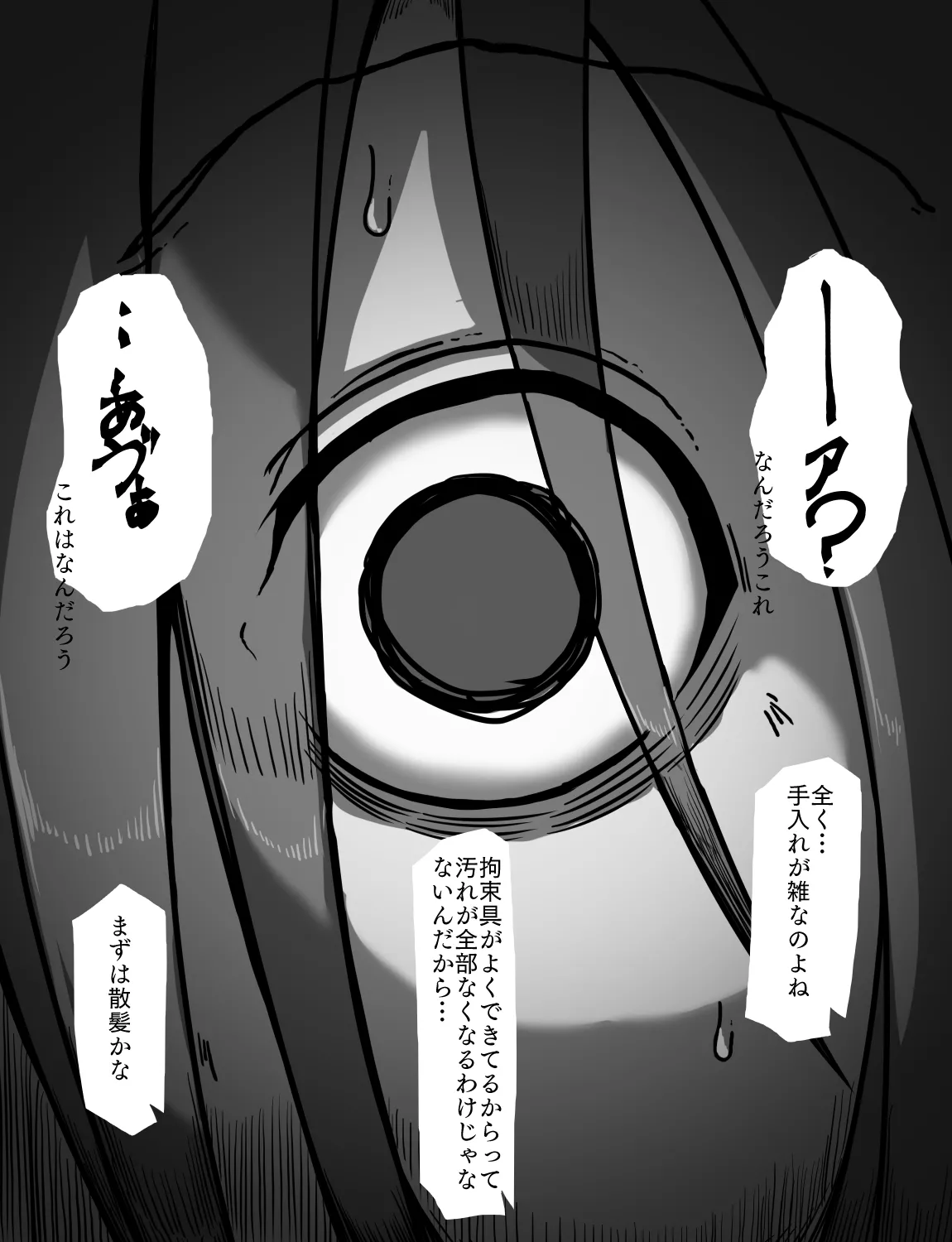 メイドとお嬢様 + 王国貴族の館～ラバーメイド完全拘束調教～ - page334