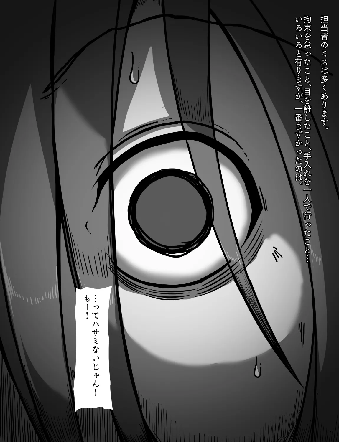 メイドとお嬢様 + 王国貴族の館～ラバーメイド完全拘束調教～ - page335