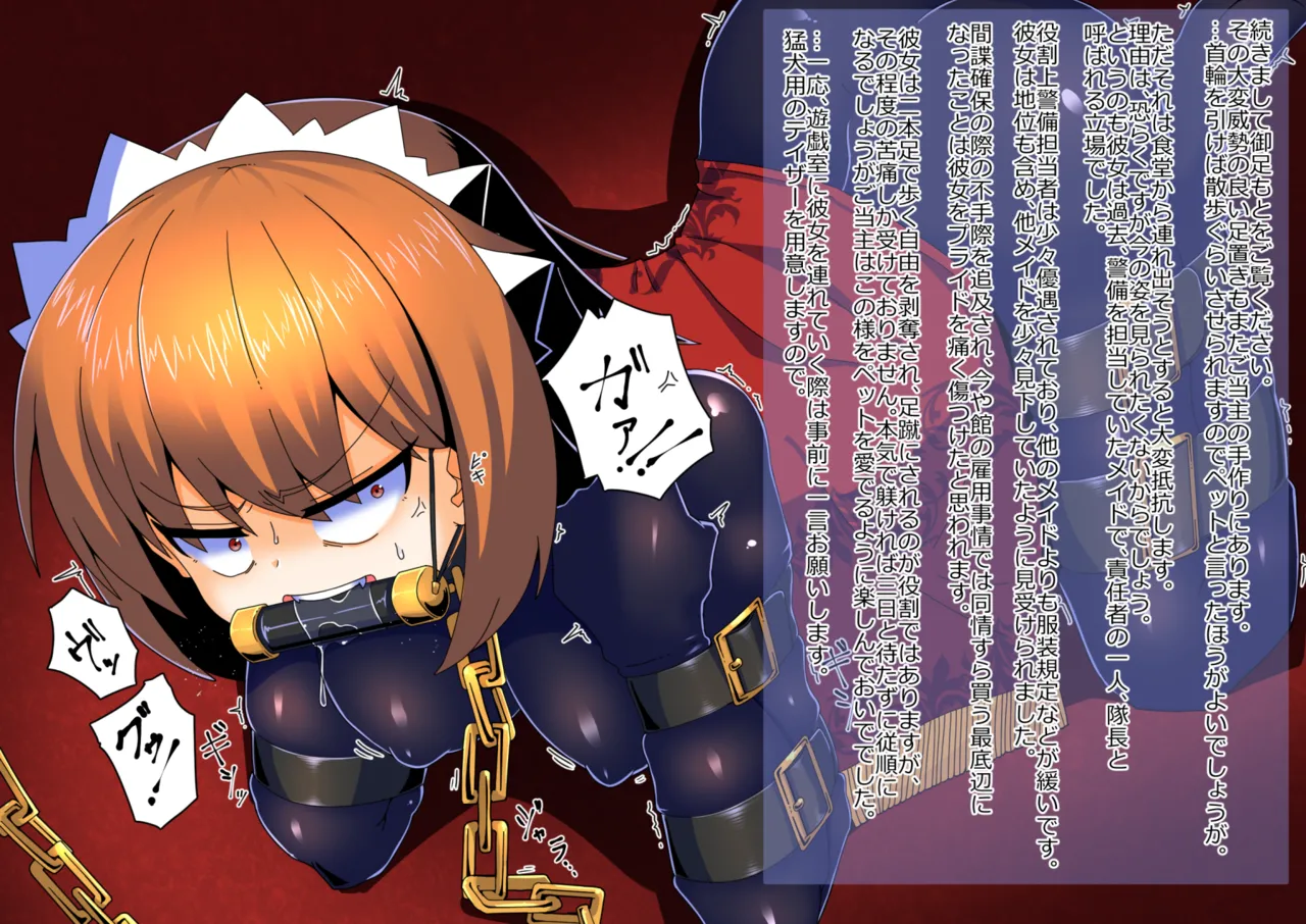 メイドとお嬢様 + 王国貴族の館～ラバーメイド完全拘束調教～ - page642