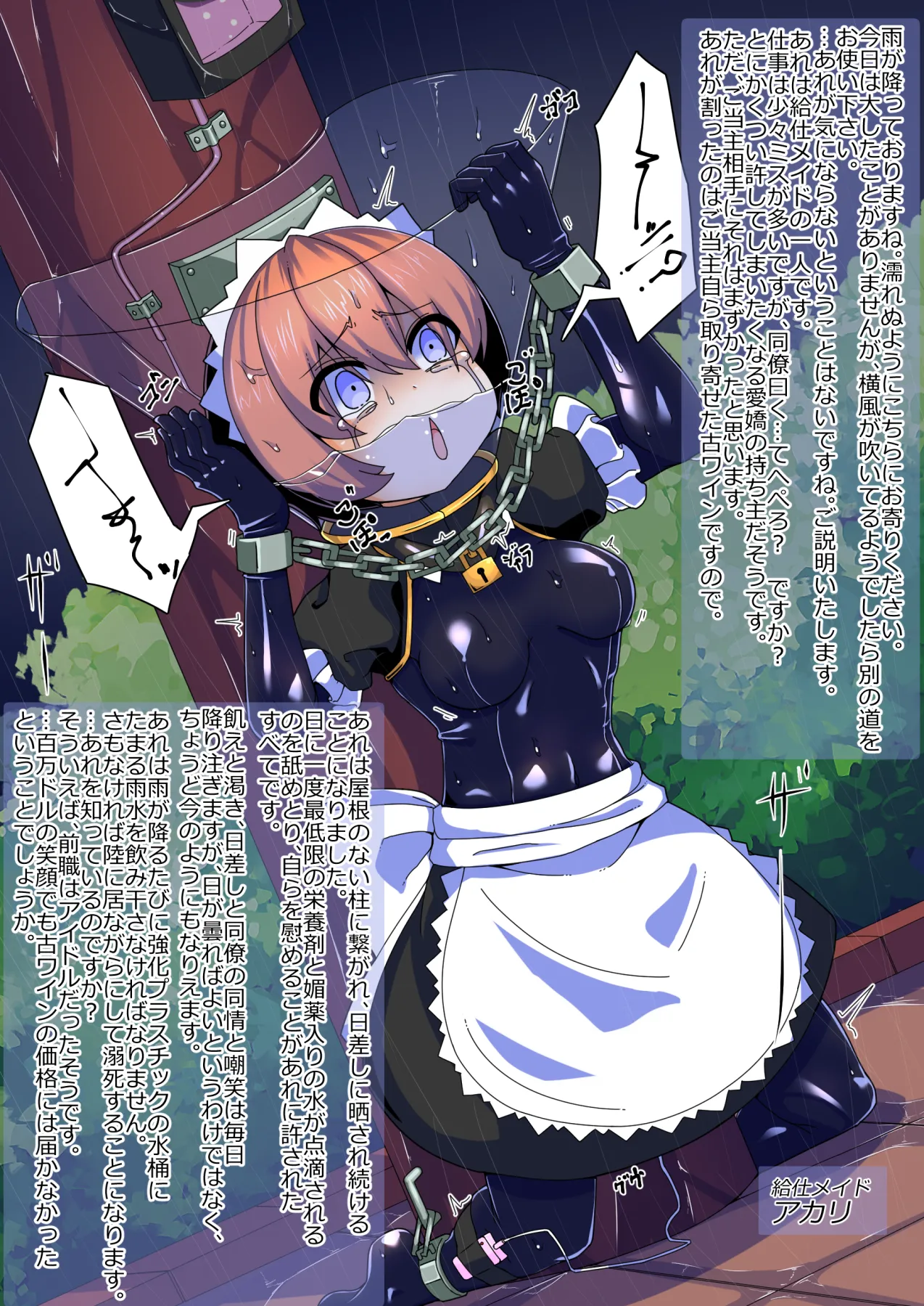 メイドとお嬢様 + 王国貴族の館～ラバーメイド完全拘束調教～ - page648