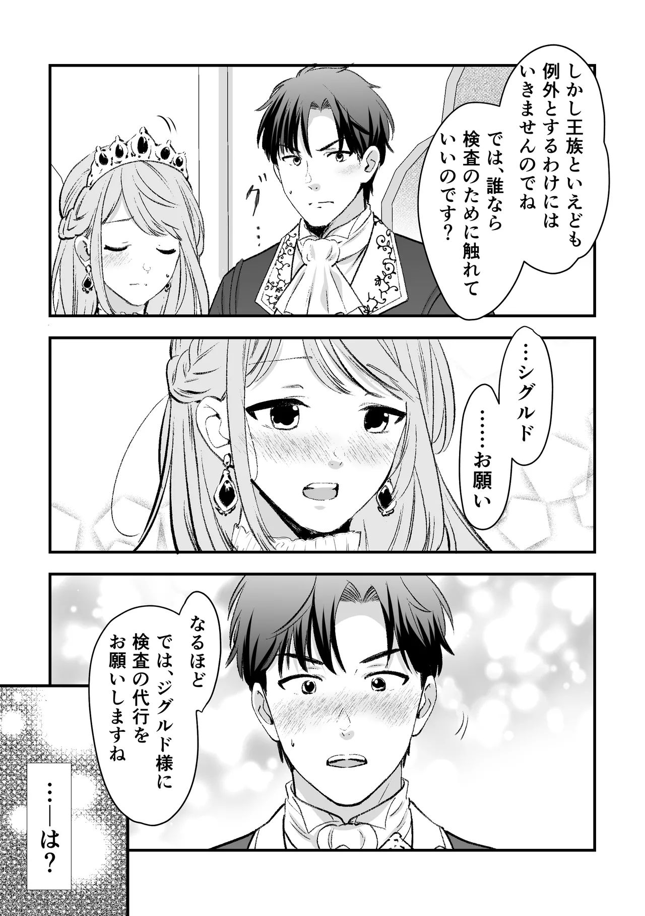 人権がなくなった王女殿下 ～入国審査編～ - page11