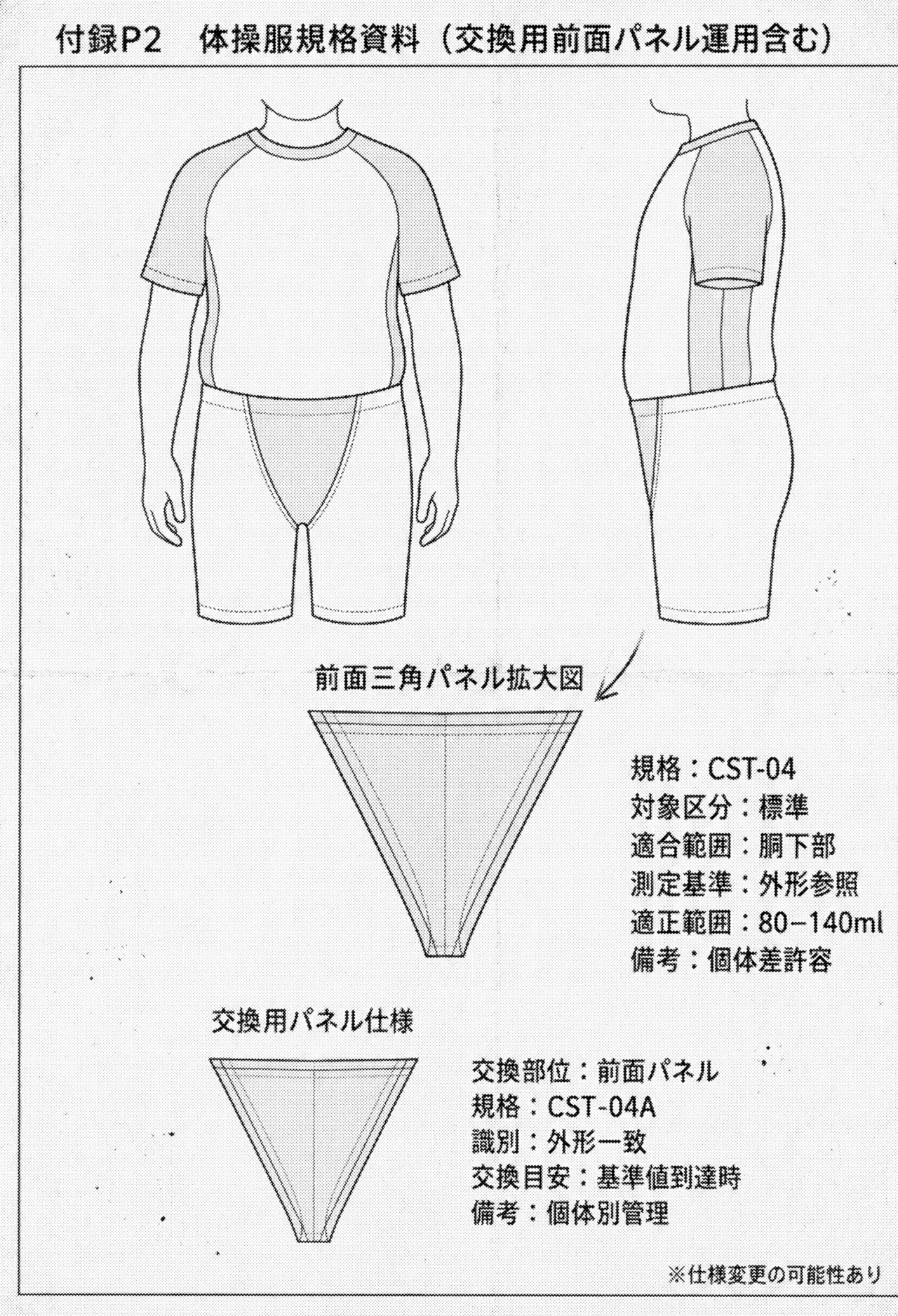 模範的資源体 - page41