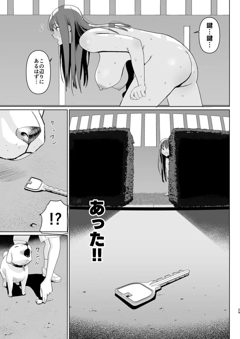 鍵キャッチチャレンジ!! - page27