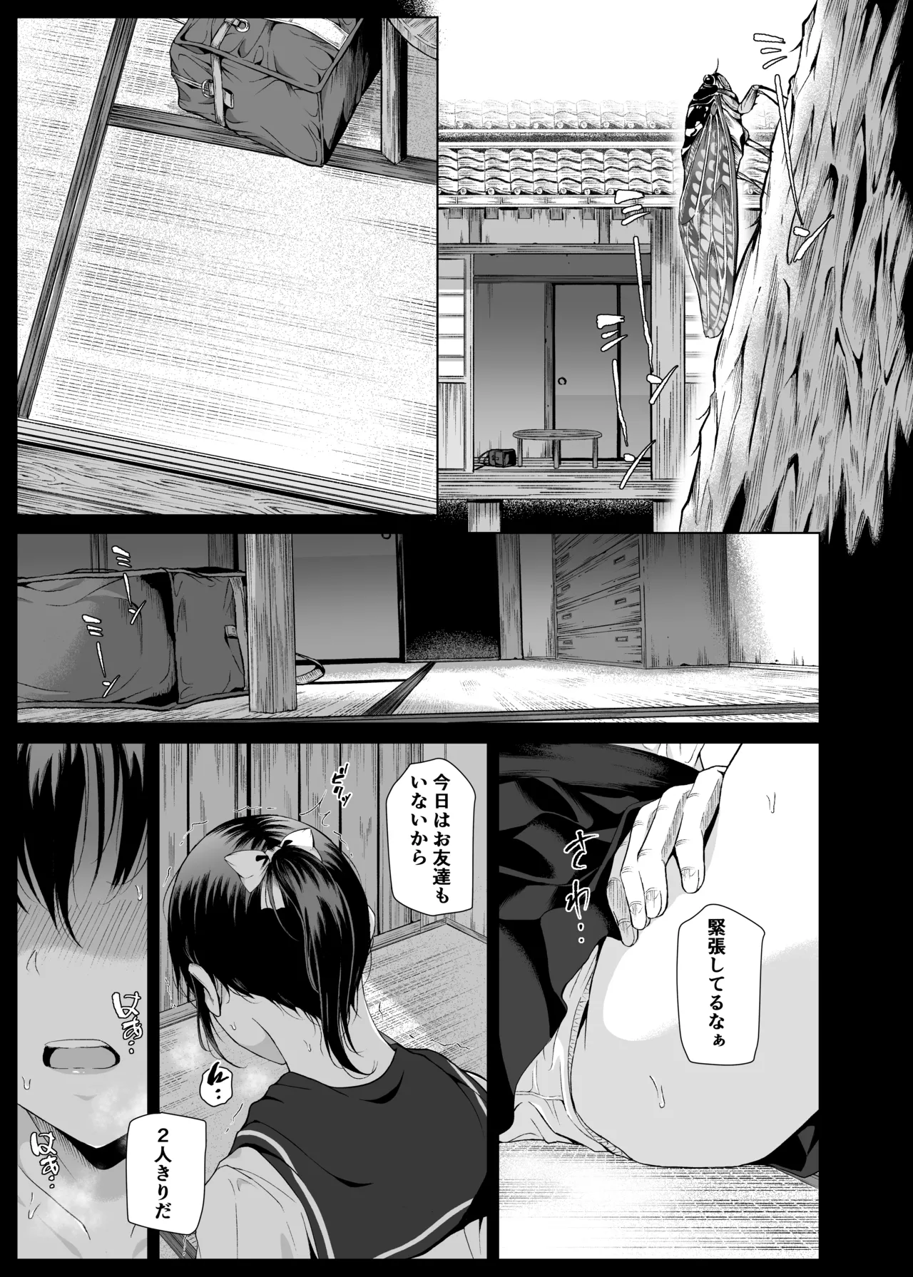 夏、田舎でおじさんと〜里帰り〜 - page2