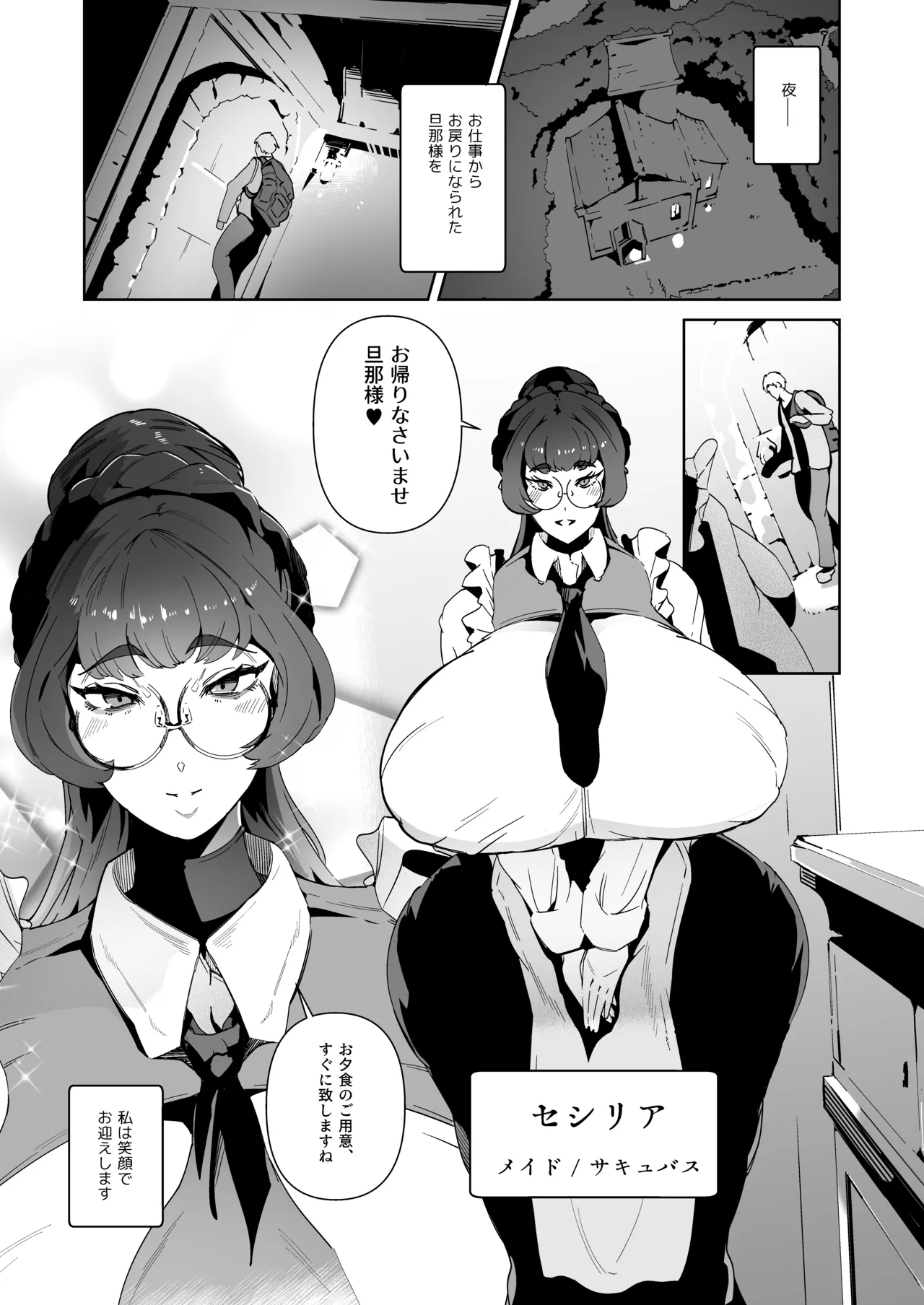 サキュバスメイドと過ごす夜 - page3