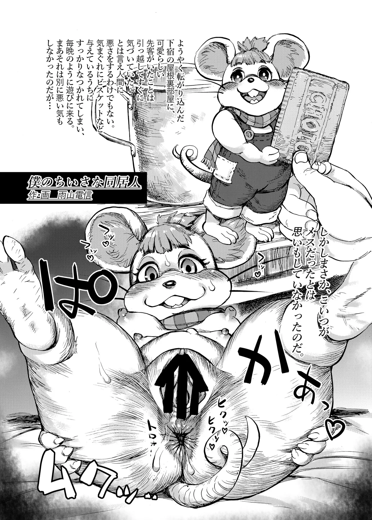 四季報・秋 - page95