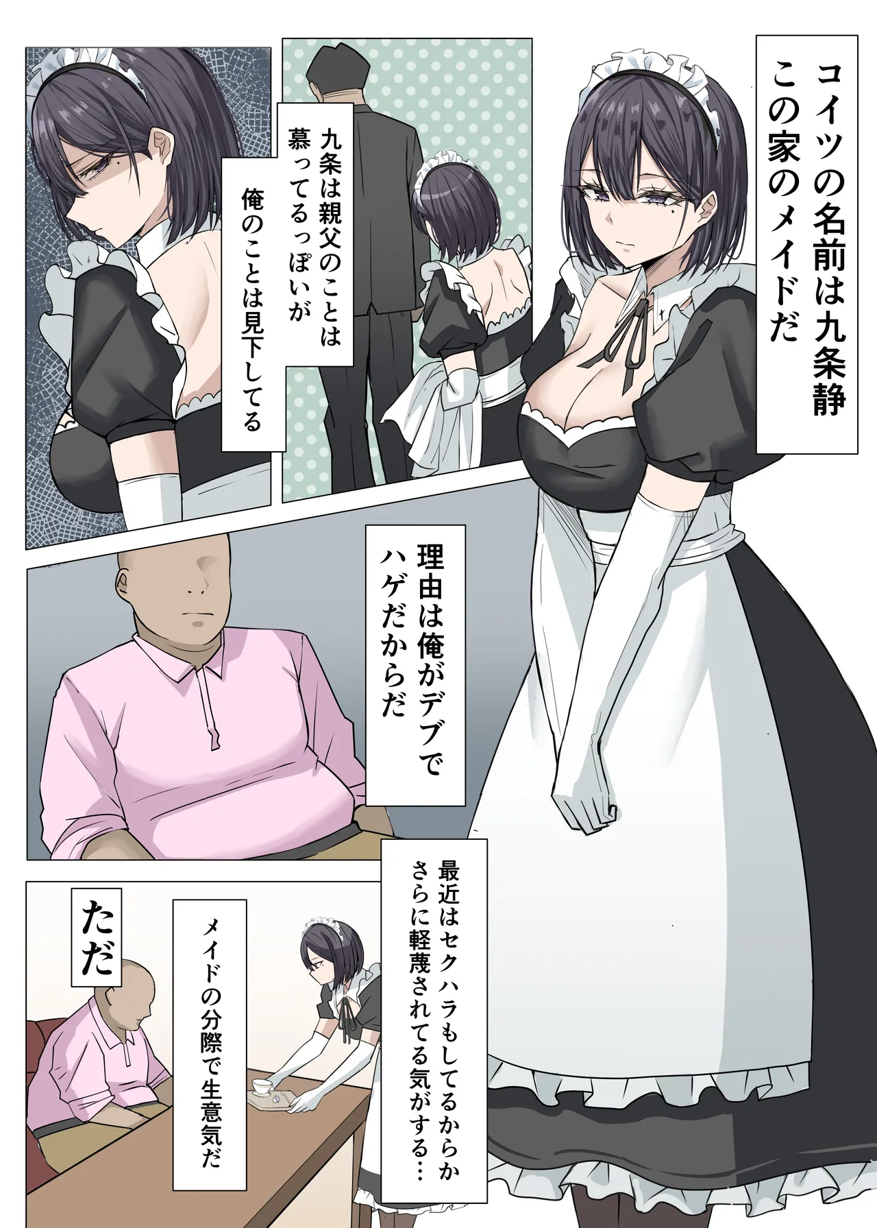 クール系メイドさんに命令して中出しS〇Xする話 - page8