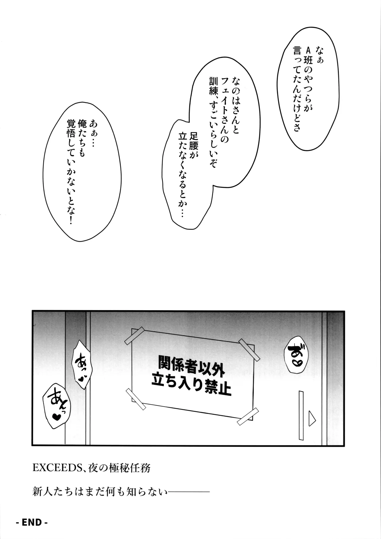 EXCEEDS極秘任務 FILE:NANOHA×FATE - page17