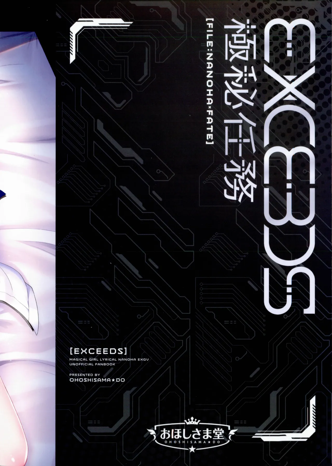 EXCEEDS極秘任務 FILE:NANOHA×FATE - page20