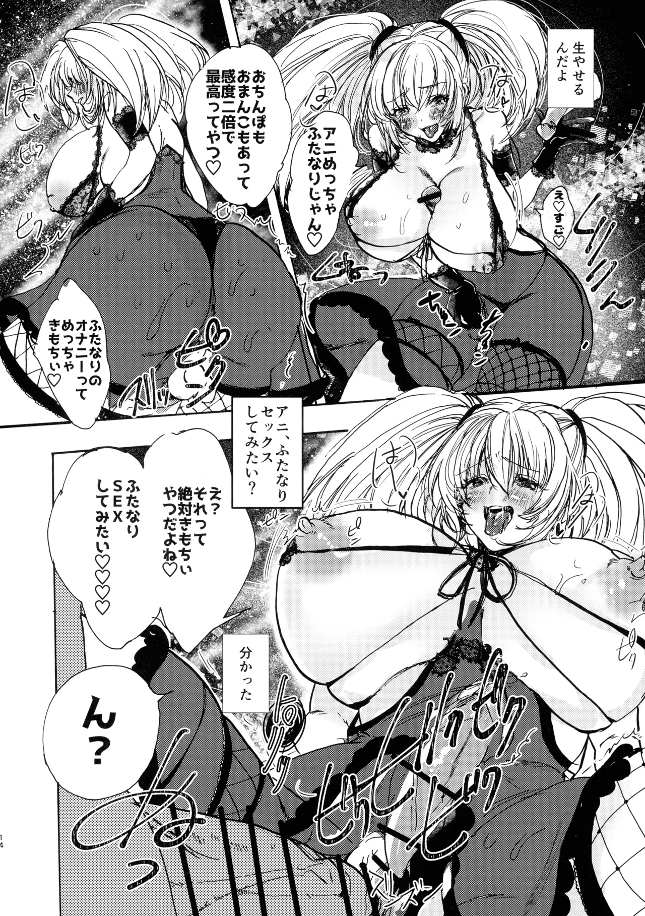 アニのふたなりおせっせ本 - page14