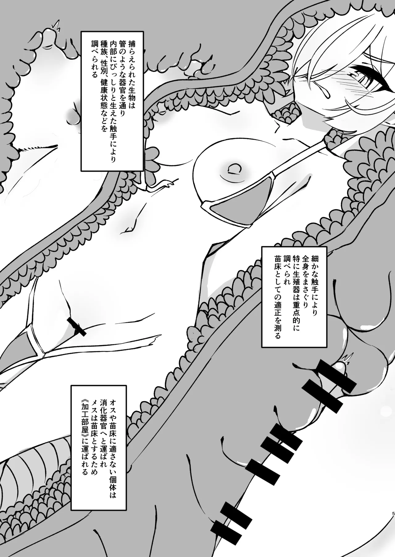 触手ダンジョン生態調査記録 - page5