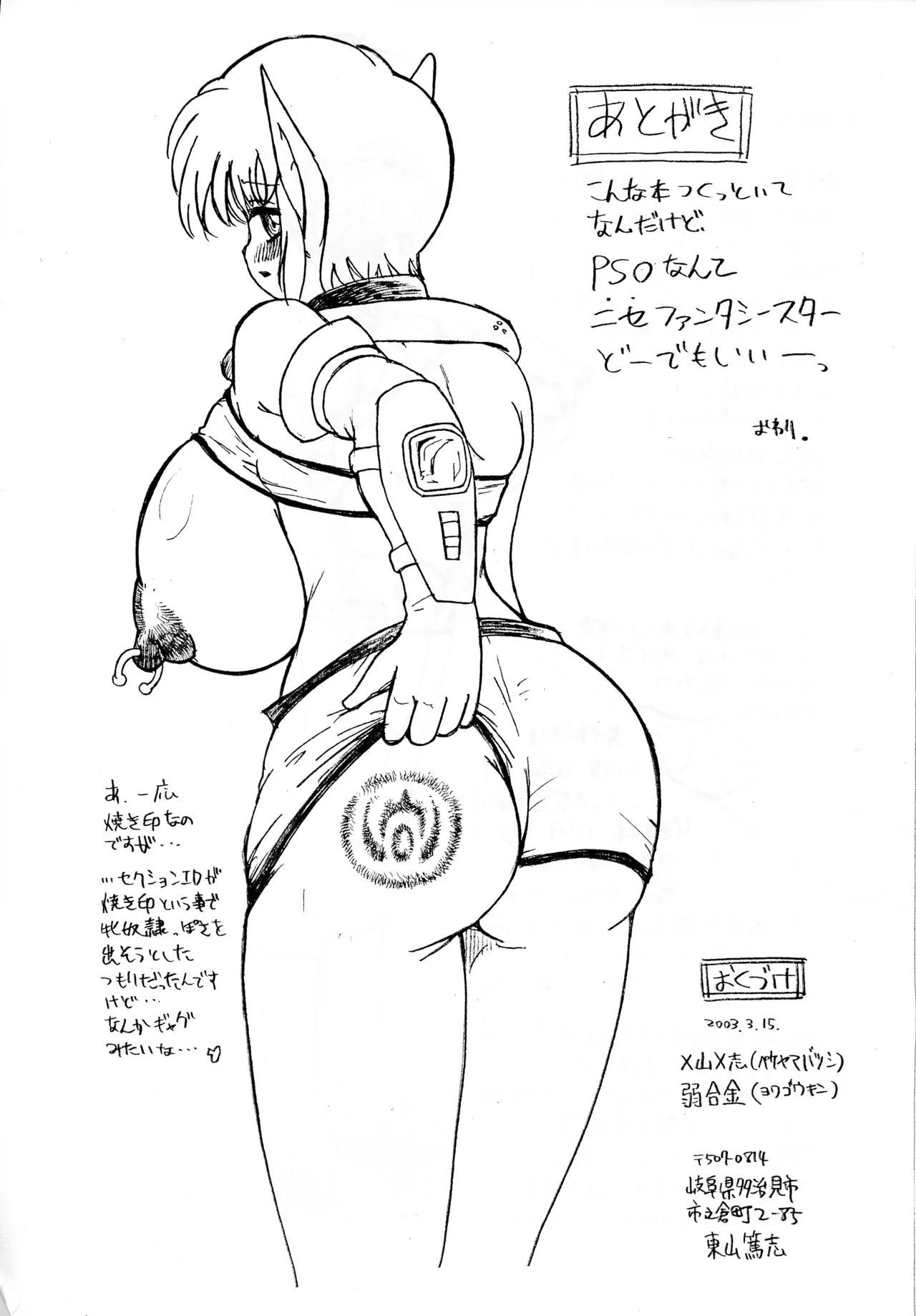 PSO巨乳らくがき本  性玩具としてのニューマン  性玩具としてのアンドロイド - page13