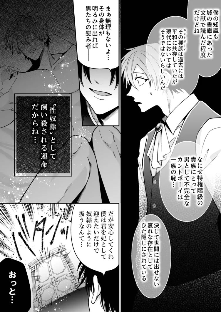 没落した悪役令息ですがカントボーイなので敵国王子の溺愛裏ルートに入りました。 - page14