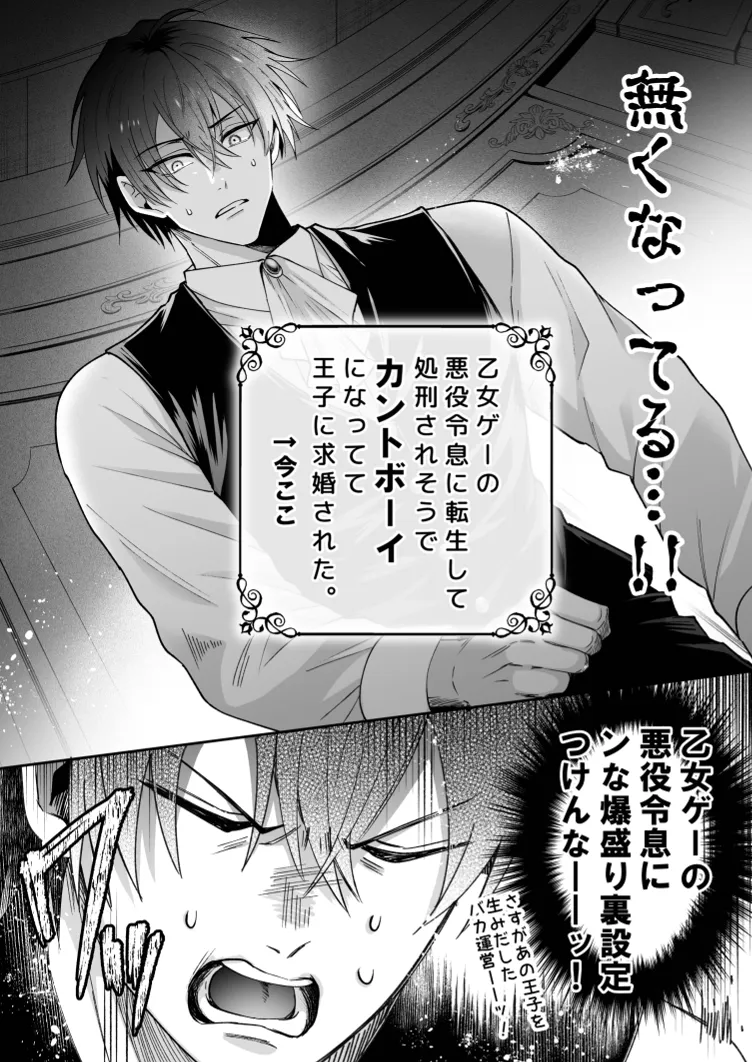 没落した悪役令息ですがカントボーイなので敵国王子の溺愛裏ルートに入りました。 - page15