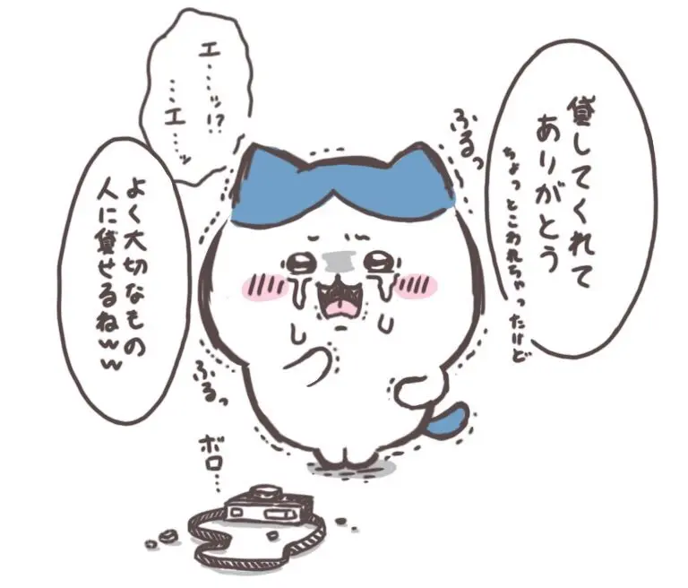 やみ🐾ちい虐 - page13