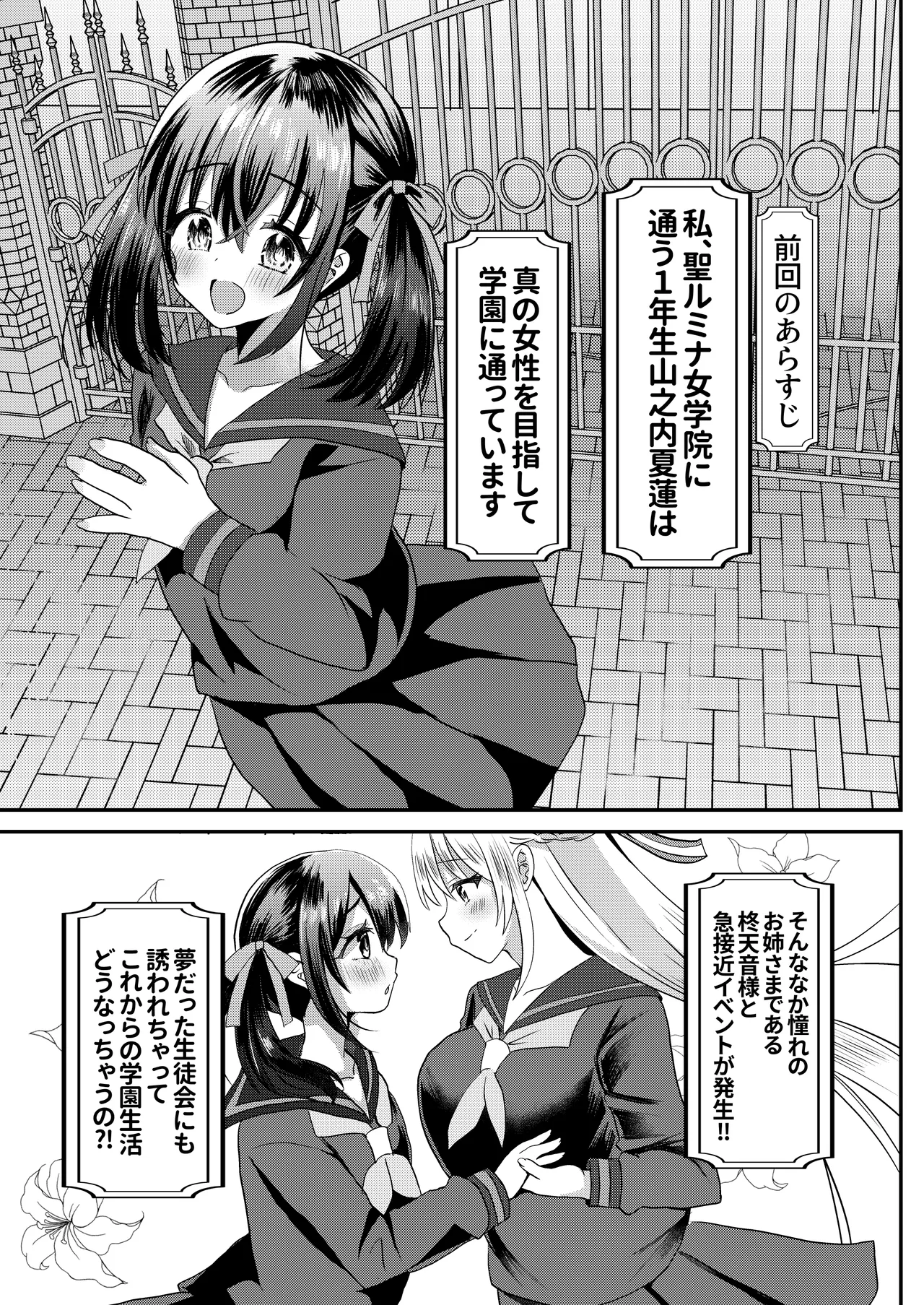 とある女学院のヒメゴト総集編 - page23