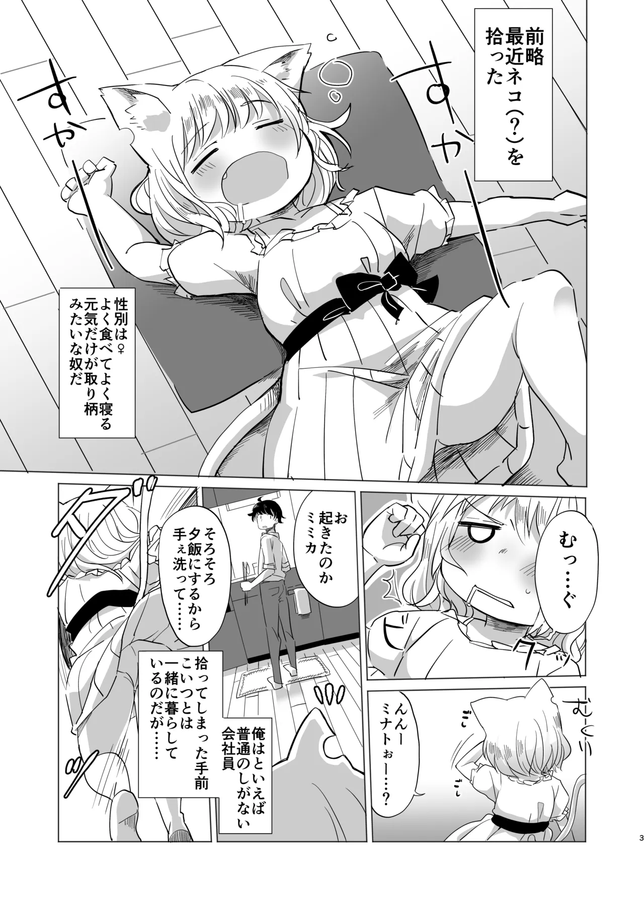わがまま仔猫のしつけ方。 - page2
