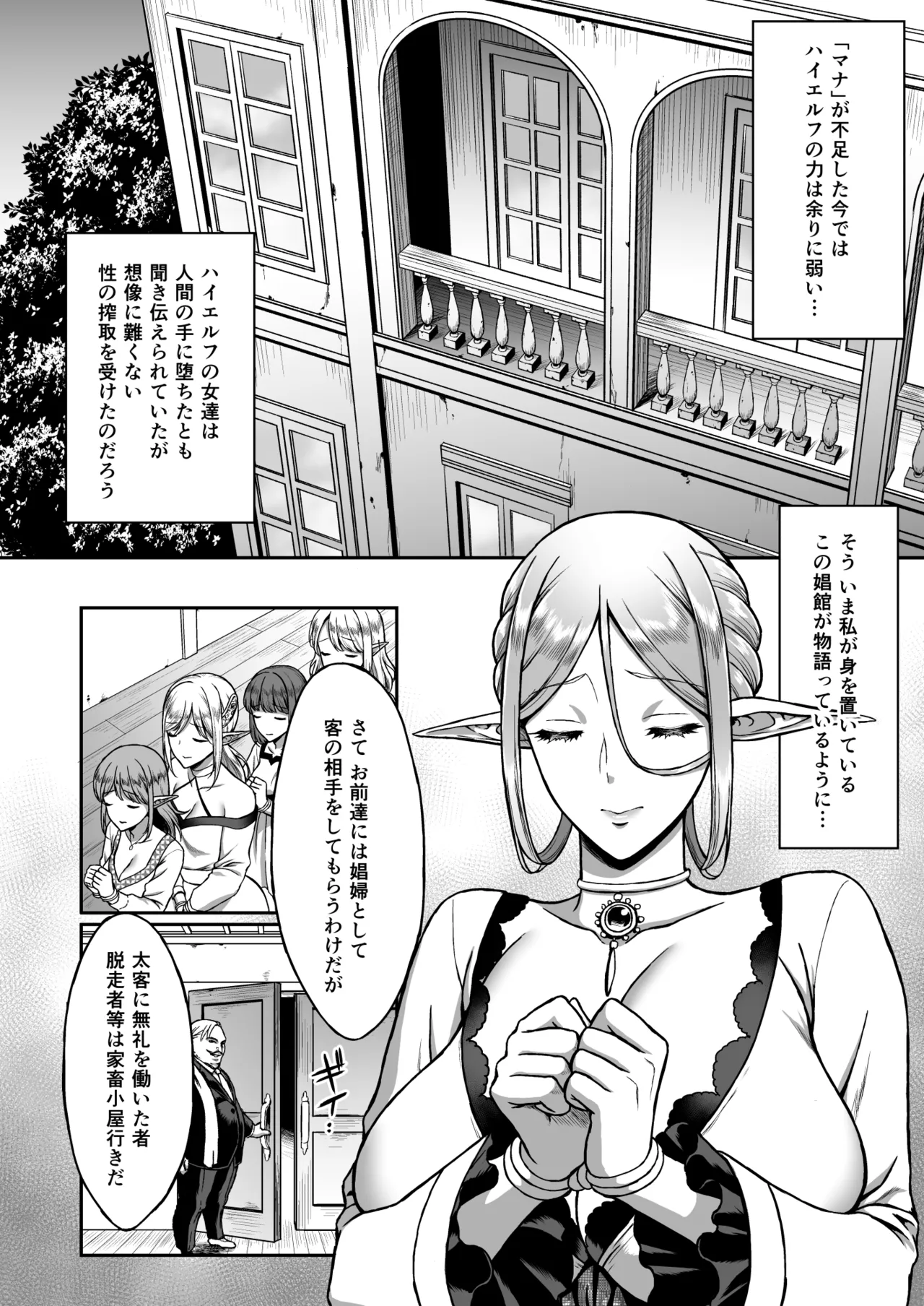 黄昏の娼エルフ総集編-エイレーネ前編 - page14