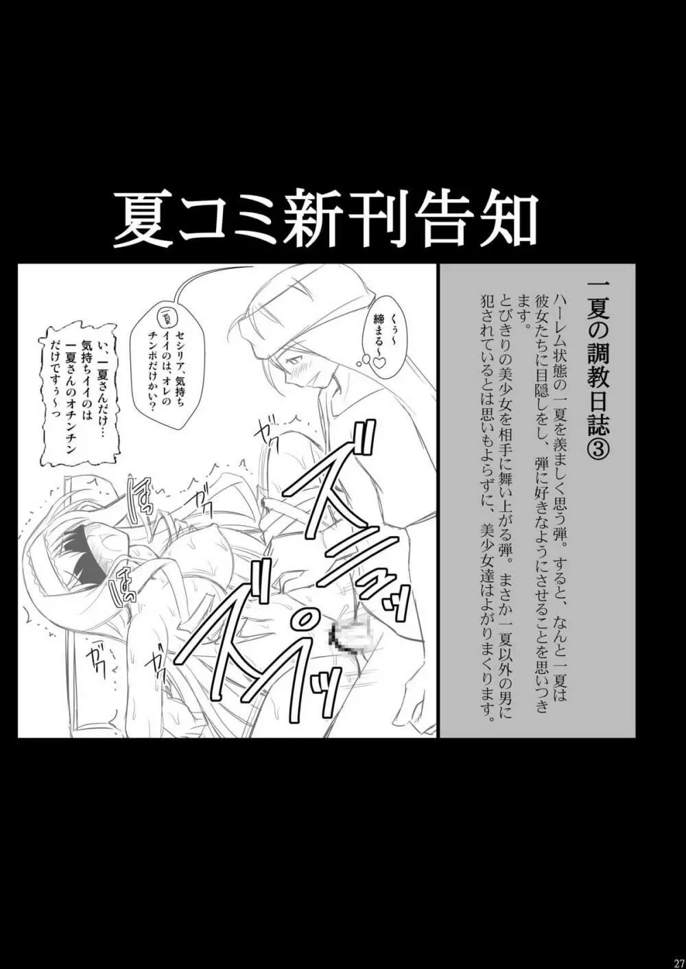 一夏の調教日誌II - page26