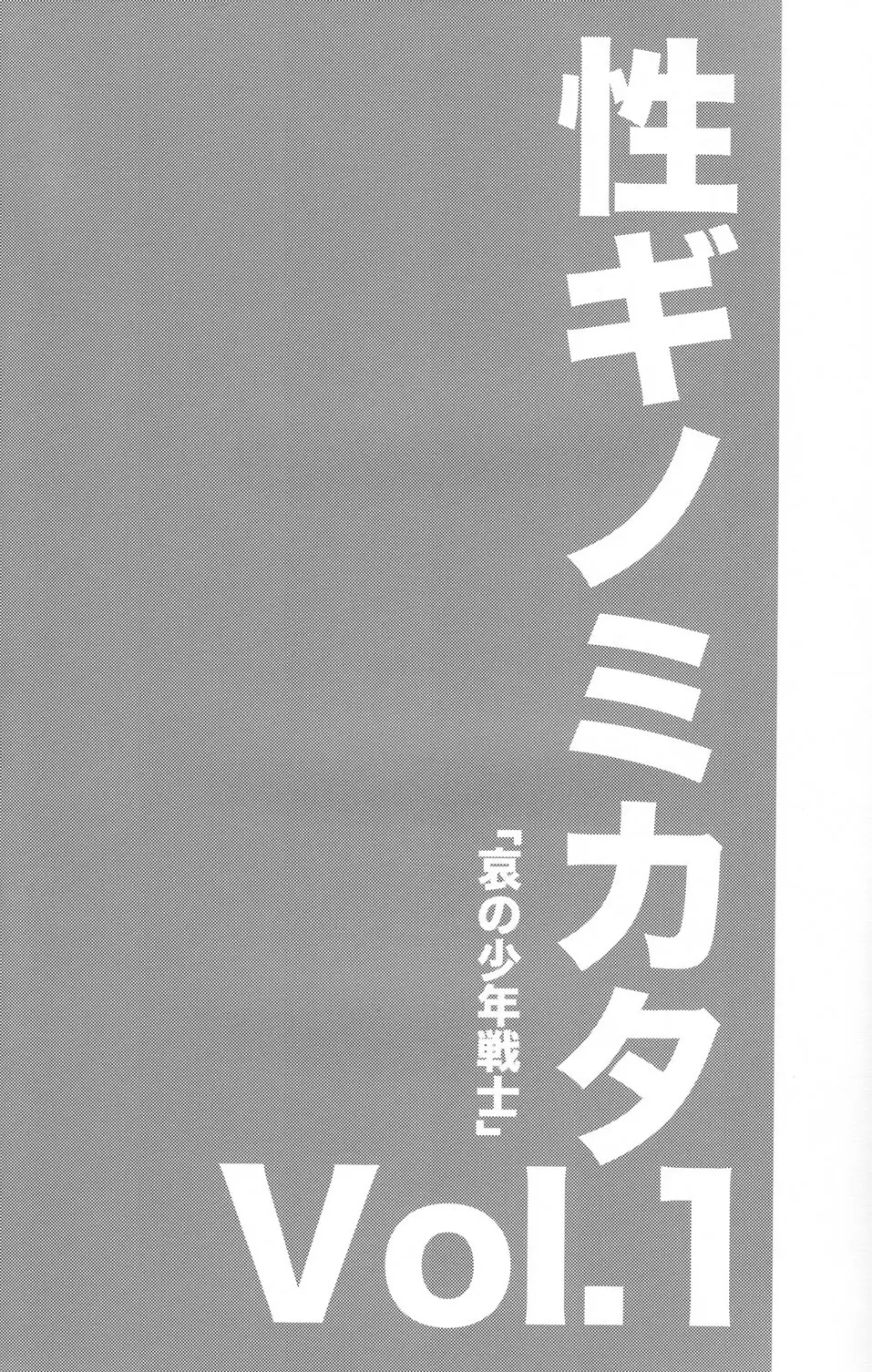 性ギノミカタ Vol.1 - page3