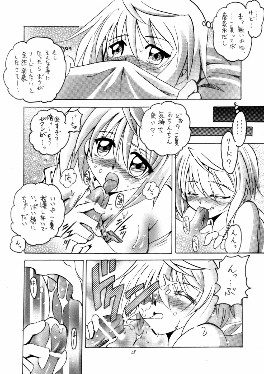 俺とシャルがこんなに乱れるわけがない - page27