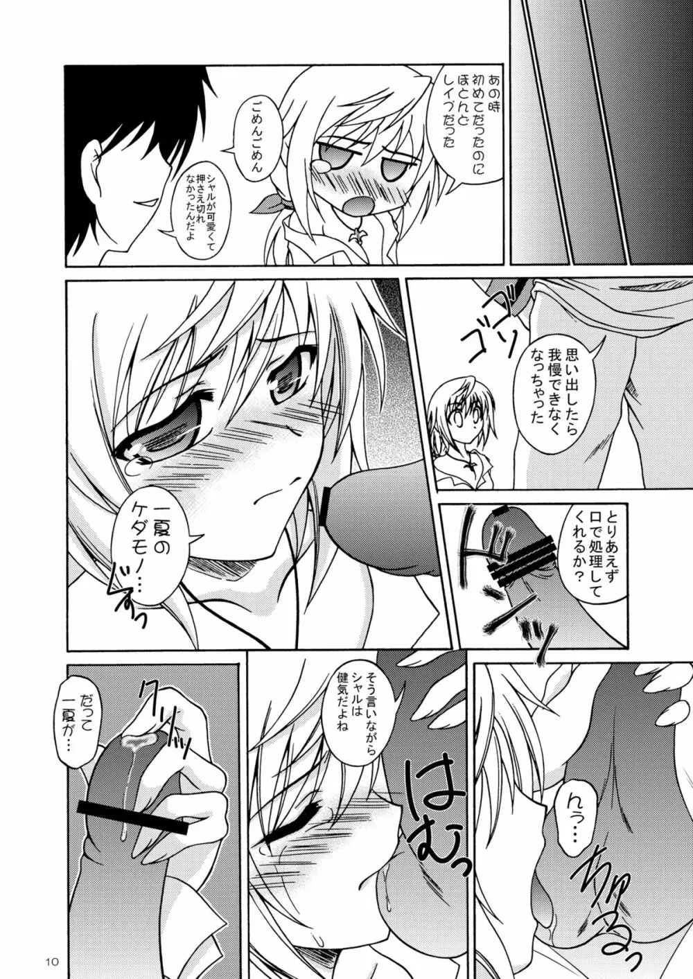 俺とシャルがこんなに乱れるわけがない - page9