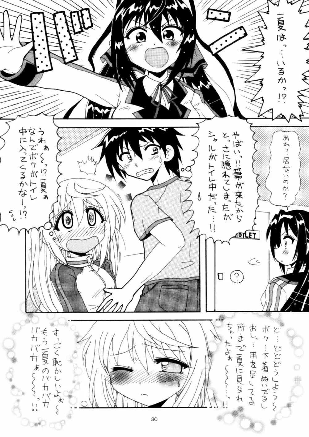 僕の一夏がこんなにケダモノなわけがない - page29
