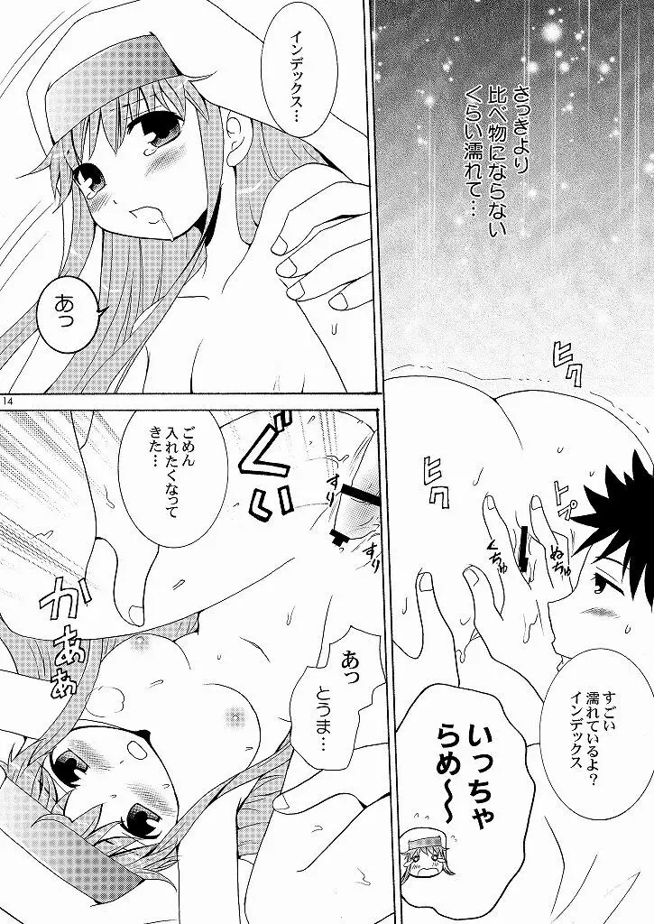 インデックスの本なんだよ。 - page13