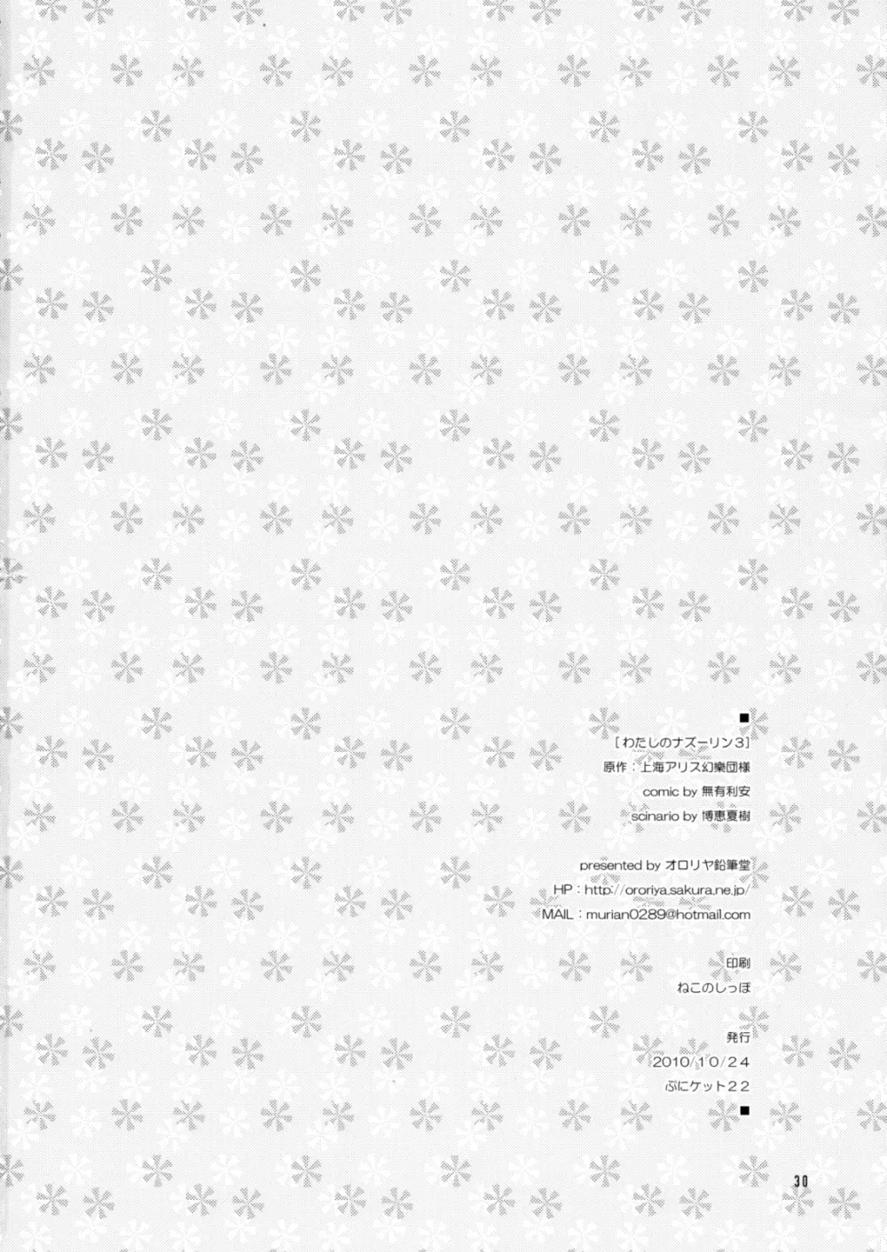 わたしのナズーリン3 - page29