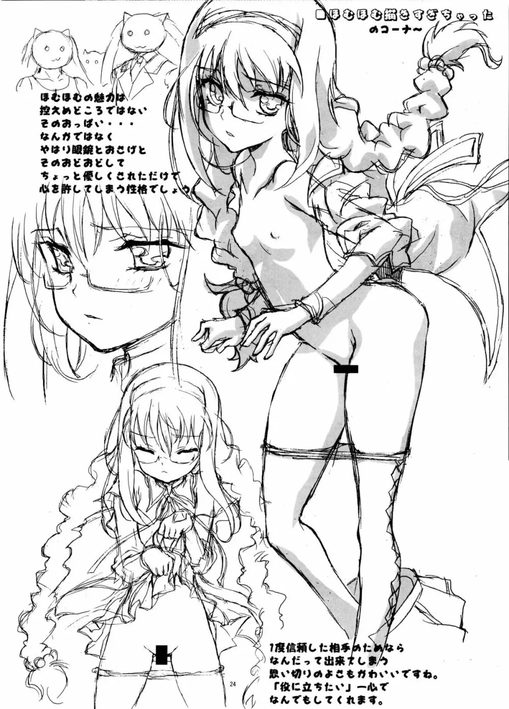 homuhomu madness returns - page24
