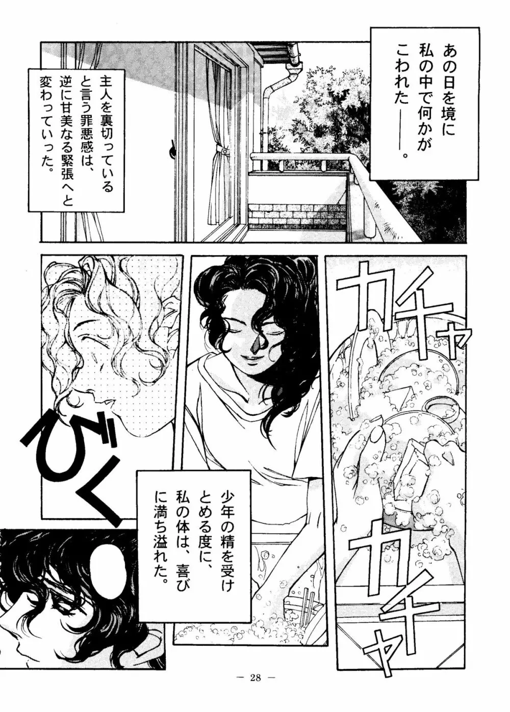 大人の童話 Vol.6 - page27