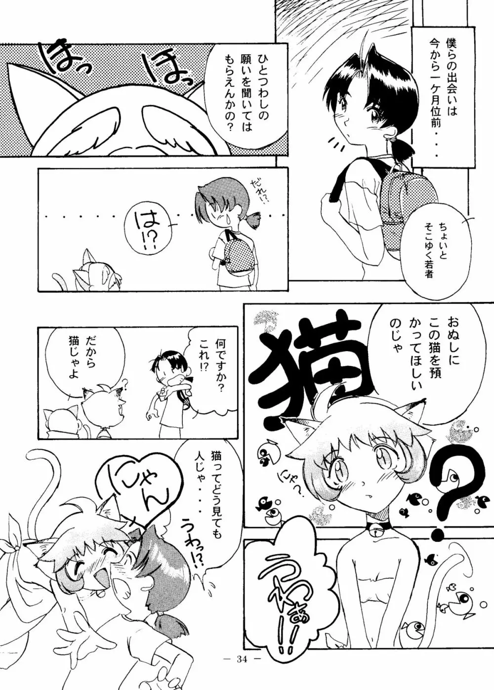 大人の童話 Vol.6 - page33