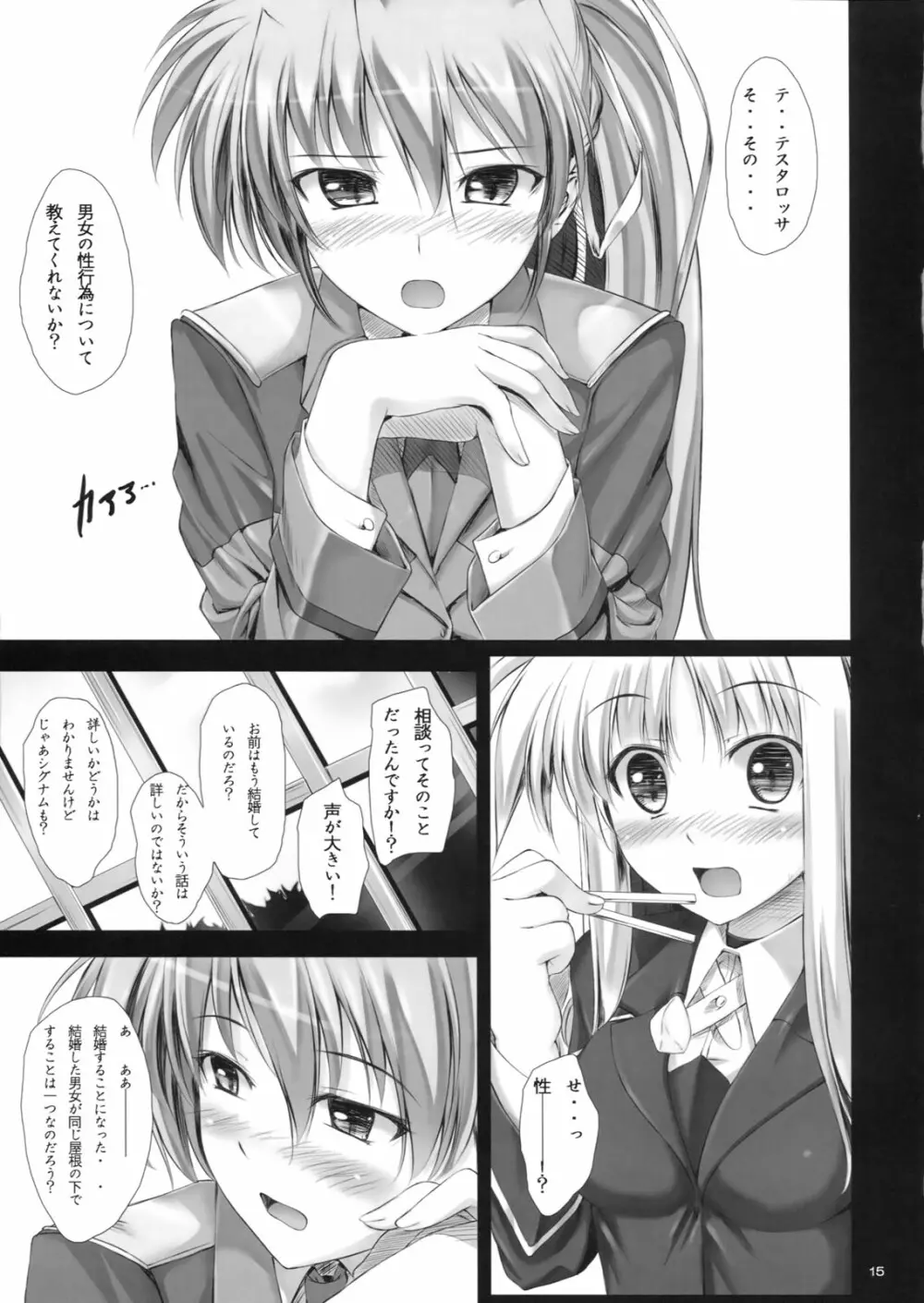 (C80) [IV VA SHIN (みくに瑞貴)] -Explosion!- (魔法少女リリカルなのは) - page14