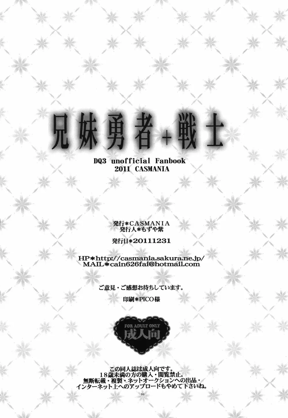 兄妹勇者＋戦士 - page30