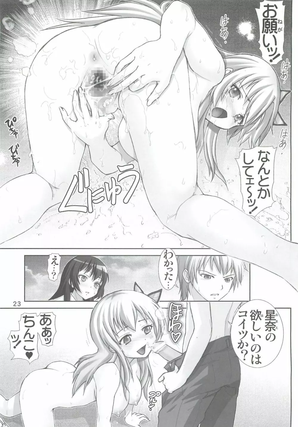 星奈の淫戯 - page22