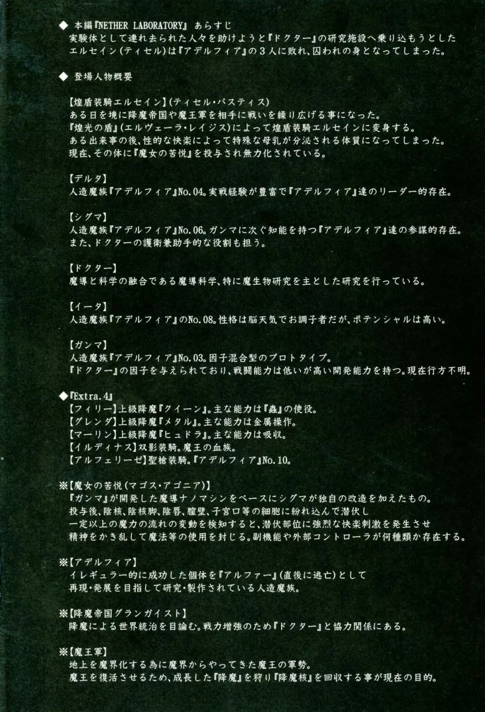 煌盾装騎エルセインVol.11 「NETHER LABORATORY」 - page3