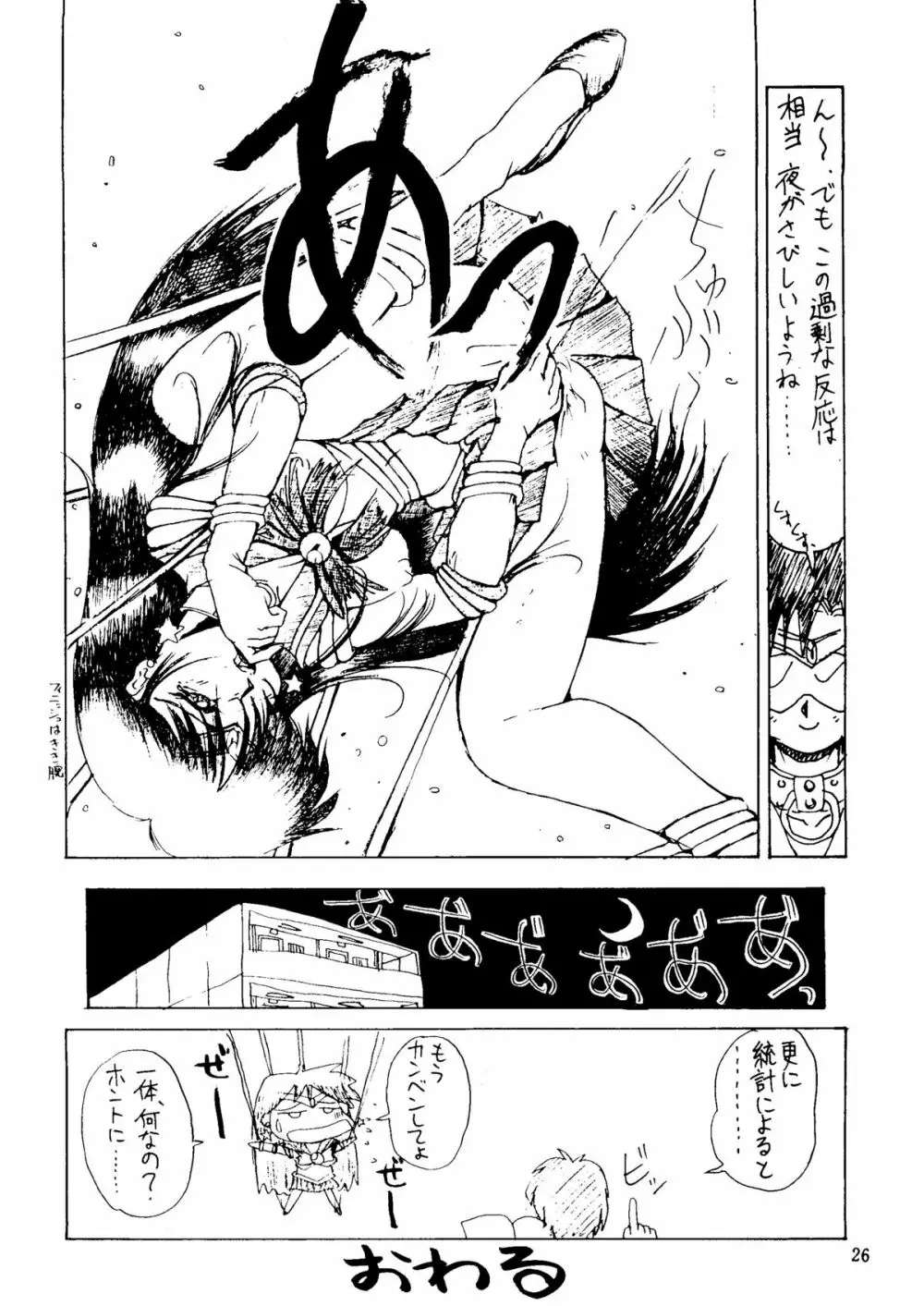 SAILOR MOON MATE 03 REY - page25