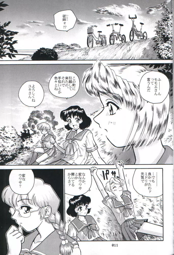 ダルシーレポート 2 - page10