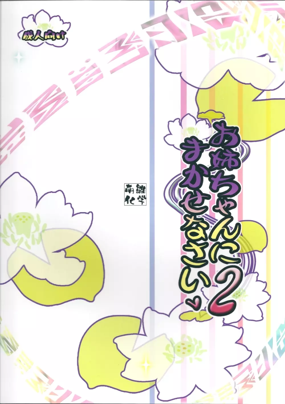 お姉ちゃんにまかせなさいv2 - page18