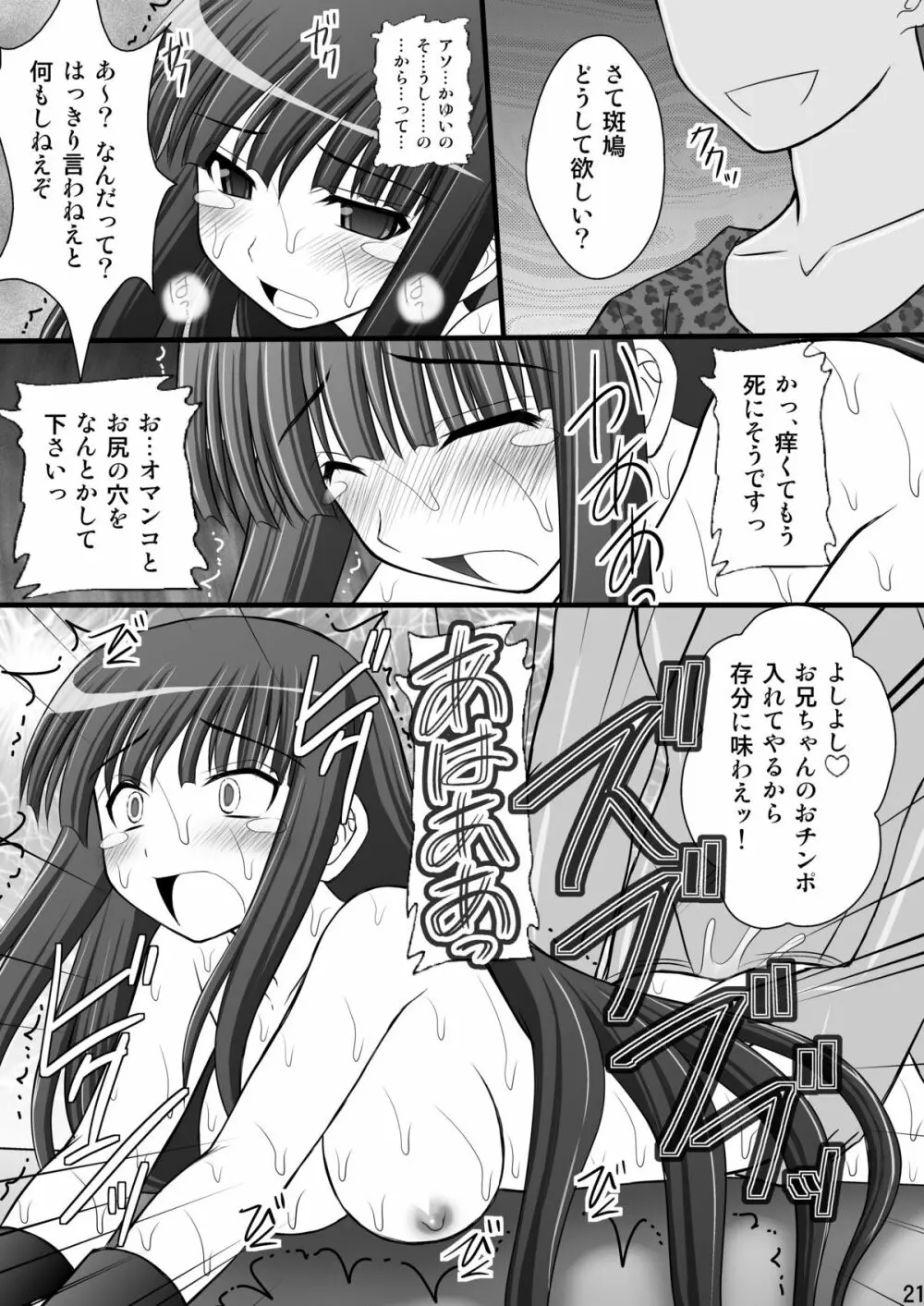 乙女くノ一悶絶拷問地獄絵巻 淫乱モード其の弐「斑鳩・柳生・雲雀編」 - page20