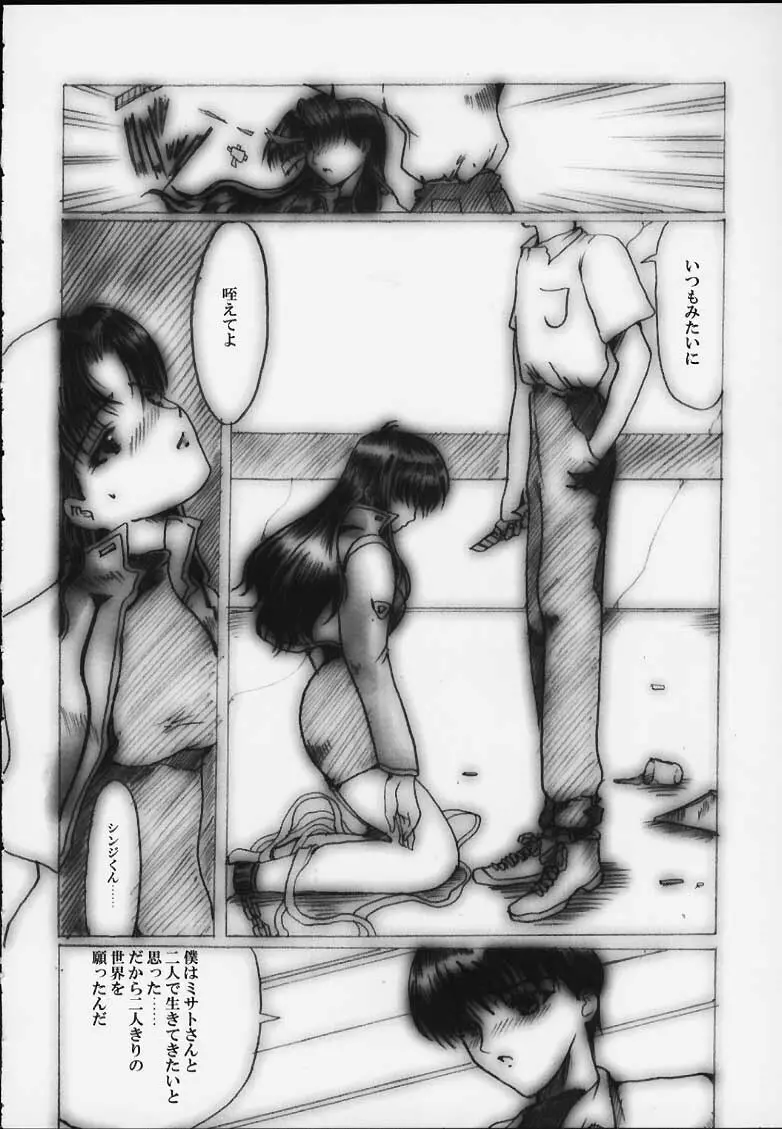 [ねことはと (鳩矢豆七)] Désir - 欲望の果て - 改訂版 (新世紀エヴァンゲリオン) - page11