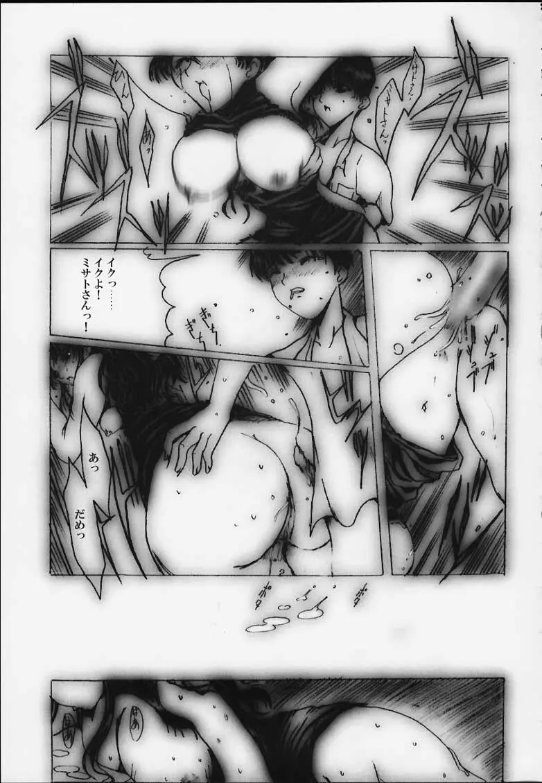 [ねことはと (鳩矢豆七)] Désir - 欲望の果て - 改訂版 (新世紀エヴァンゲリオン) - page24