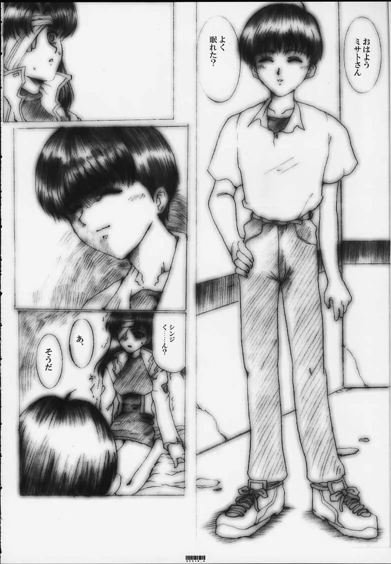 [ねことはと (鳩矢豆七)] Désir - 欲望の果て - 改訂版 (新世紀エヴァンゲリオン) - page7
