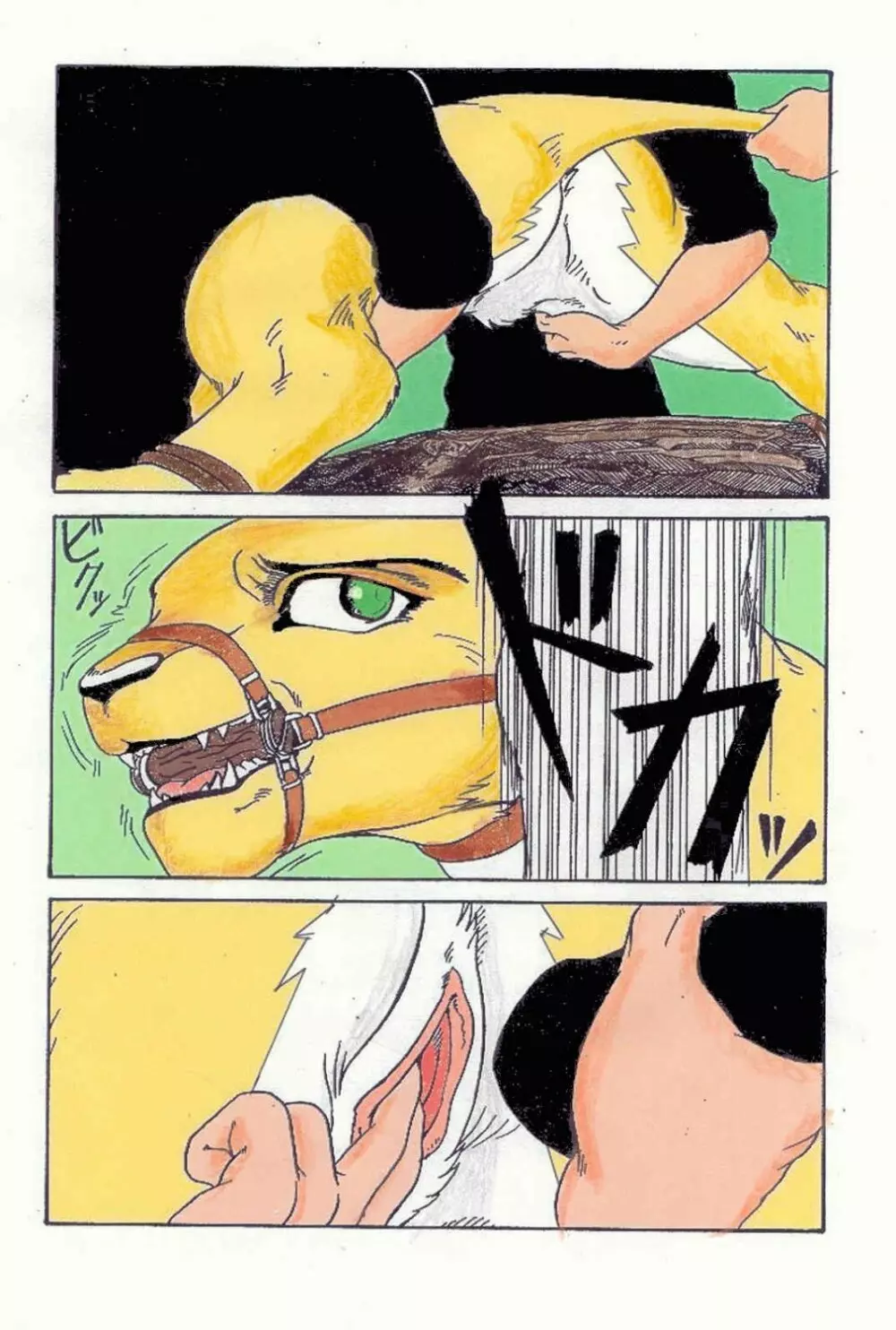 Sacramento colour - page13