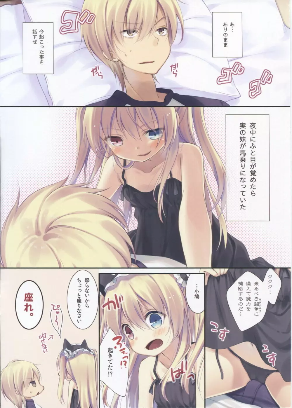 小鳩ちゃんの飼育方法 - page2