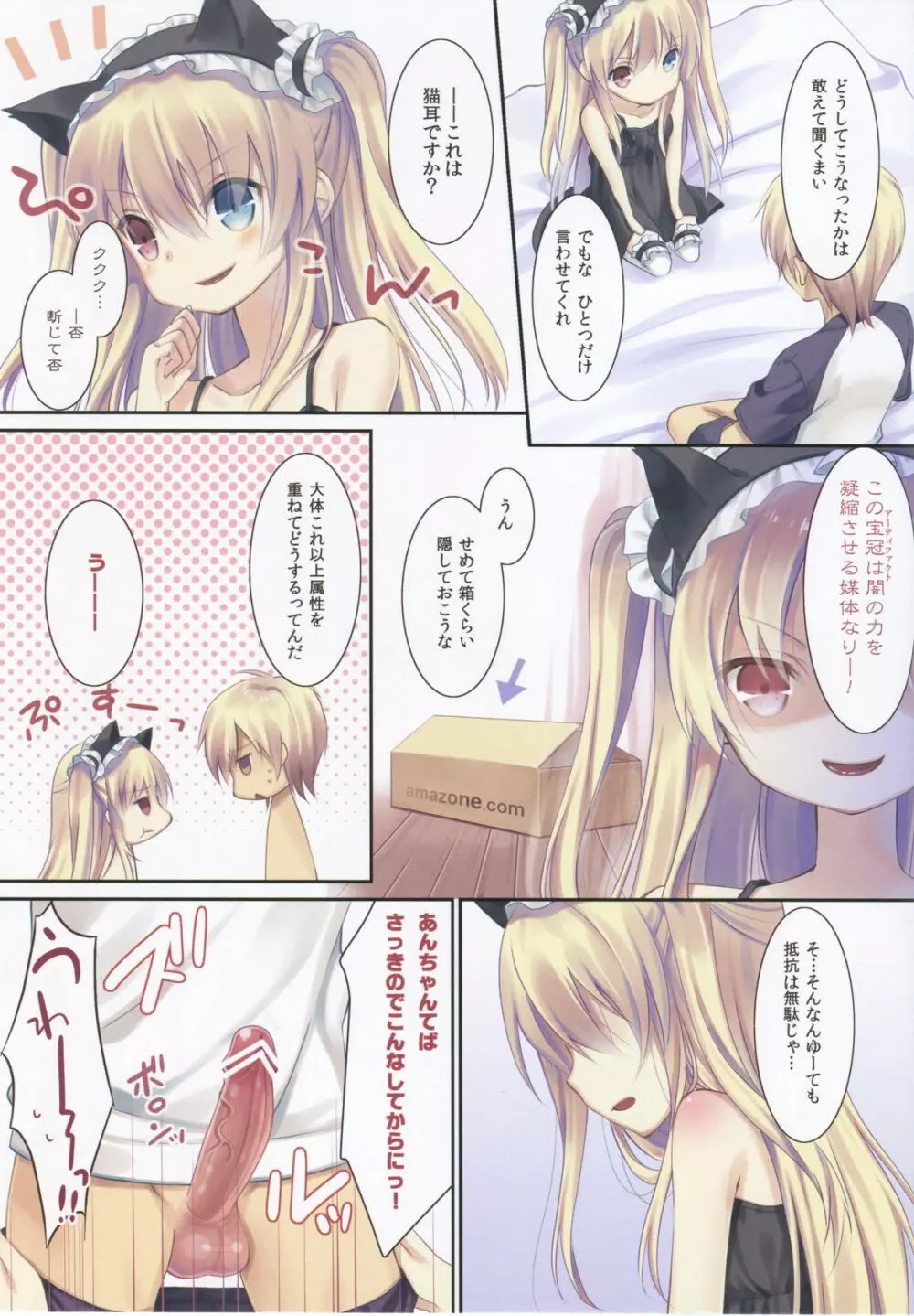 小鳩ちゃんの飼育方法 - page3