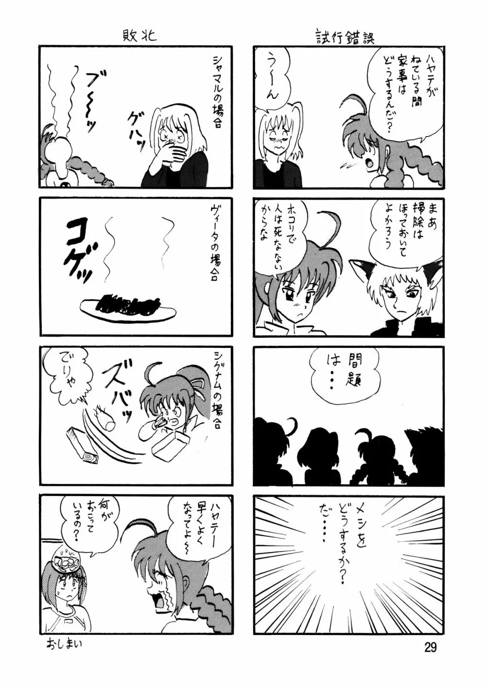 ストレージバインド2 - page29