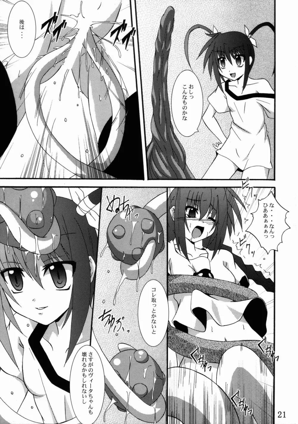 ヴィータの本 3 - page20
