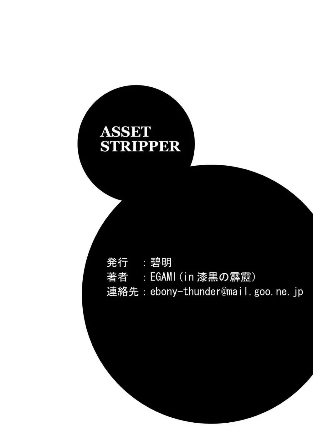 ASSET STRIPPER - page17